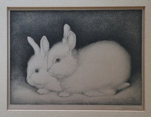 Jan Wittenberg - Twee konijnen kopen? Bied vanaf 250!