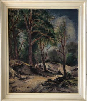 Arnout Colnot - Bosgezicht kopen? Bied vanaf 340!