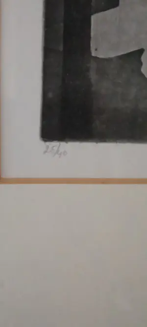 Hans Dolieslager - Middelharnis kopen? Bied vanaf 30!