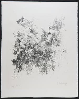 Jan Mensinga - Litho, Compositie met planten en dieren kopen? Bied vanaf 35!