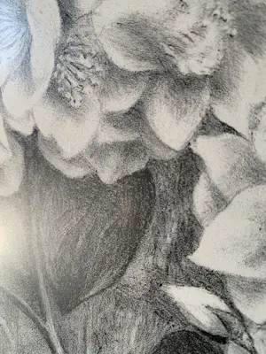 Aart van Dobbenburgh - Dahlia Lithografie - Handgesigneerd r.o. - 1977 kopen? Bied vanaf 60!