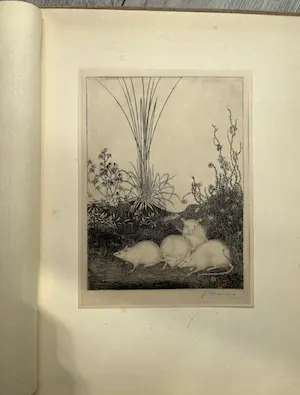 Jan Mankes - Oeuvre Boek uit 1927 kopen? Bied vanaf 850!