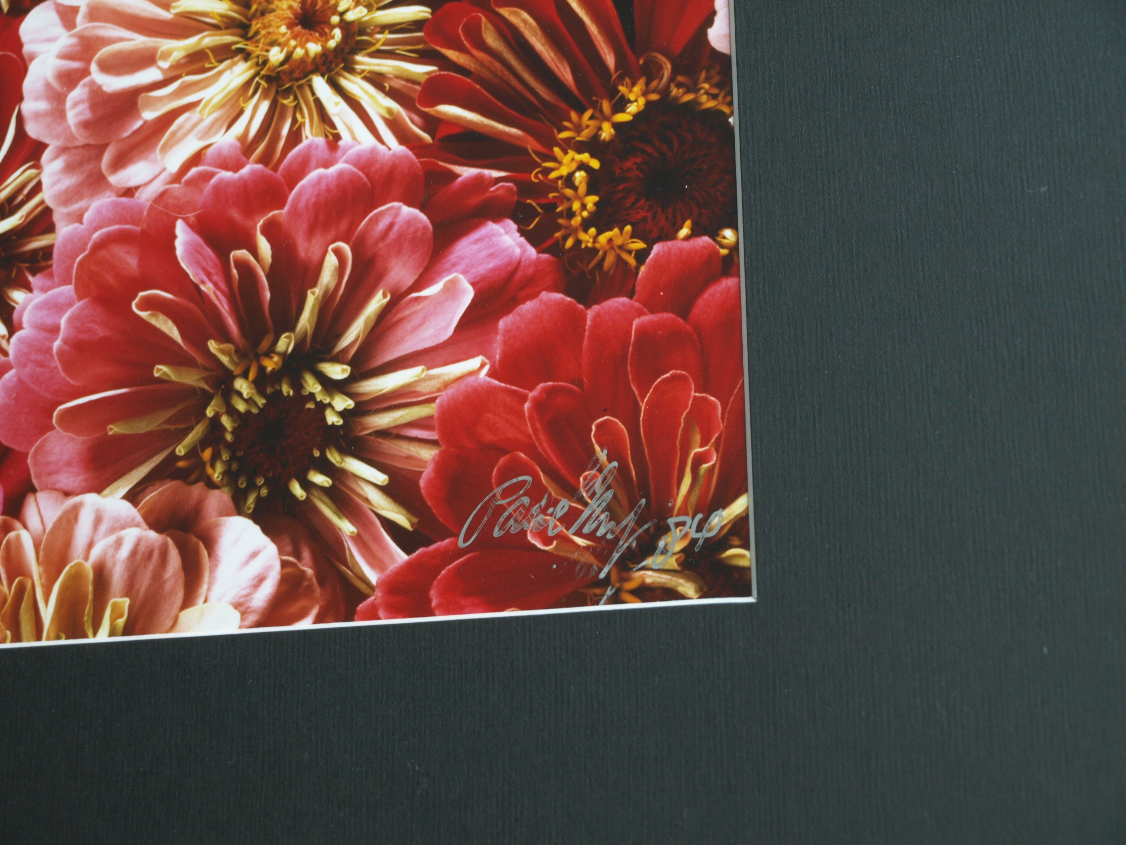 Paul Huf - Foto , Flowers , Bloemen – gesigneerd & ingelijst - 1984 - 60 x 50 cm kopen? Bied vanaf 75!