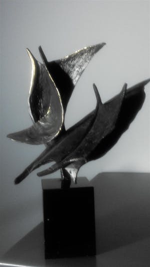 Bernadette Leijdekkers - Wind in de zeilen kopen? Bied vanaf 89!