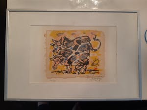 Kees Salentijn - Twee koeien kopen? Bied vanaf 25!