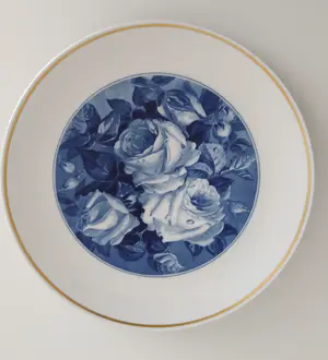 Meissen porzellan - Oogverblindend wandbord, porselein kopen? Bied vanaf 69!