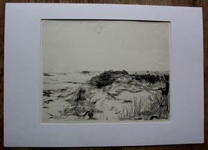 Aat Veldhoen - Ets: Duinlandschap bij Bergen aan Zee - 1956 kopen? Bied vanaf 75!