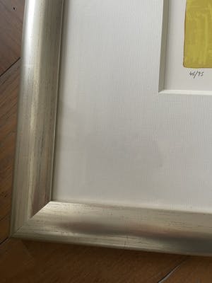 Corneille - Carnaval des oiseaux kopen? Bied vanaf 399!