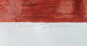 Casper Faassen - 'Leonardo' - Fraai ingelijst kopen? Bied vanaf 120!