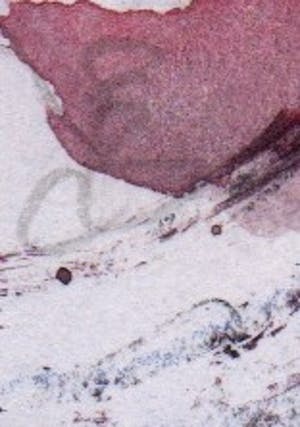 Paul Louis Van Den Bergh - Gemengde Techniek - "Vlucht" - Gesigneerd - 2017 kopen? Bied vanaf 40!