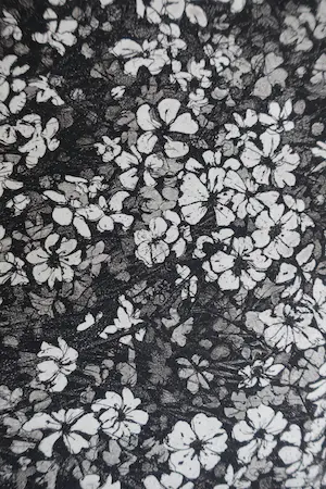 Paulien Wittenrood - GIPSKRUID kopen? Bied vanaf 35!