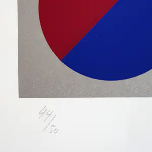 Rob Schotman - variaties op 16 cirkels kopen? Bied vanaf 50!