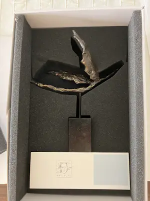 Corry Ammerlaan - Icarus zeldzaam kopen? Bied vanaf 129!