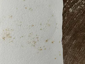 Jan Cremer - MAE WEST kopen? Bied vanaf 135!