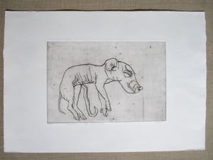 Hanny Ramaer - Ets "Foetus varken" kopen? Bied vanaf 30!