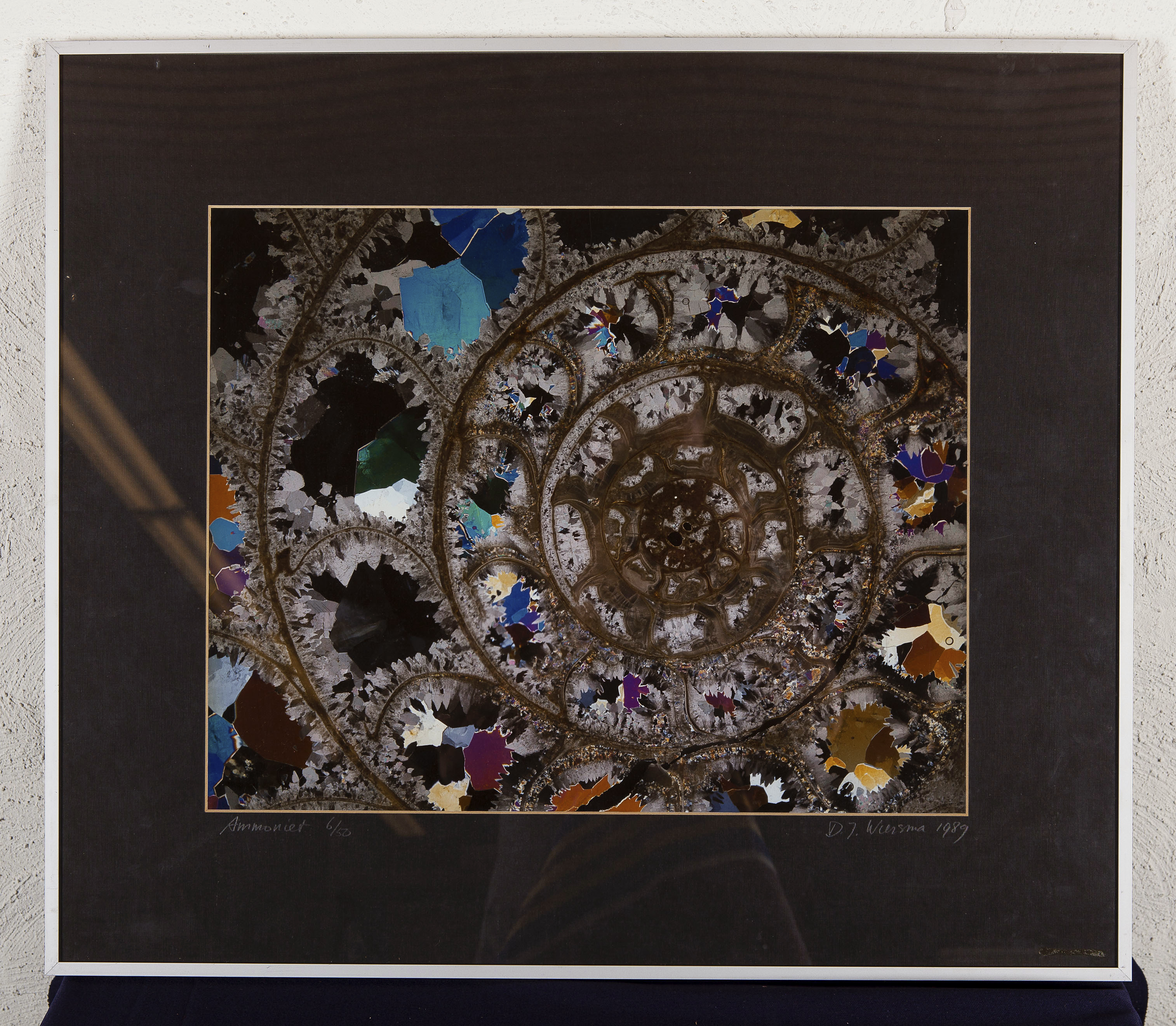 Dirk J. Wiersma - Ammoniet, ed. 6/50, 1989 - fotoprint op papier kopen? Bied vanaf 10!