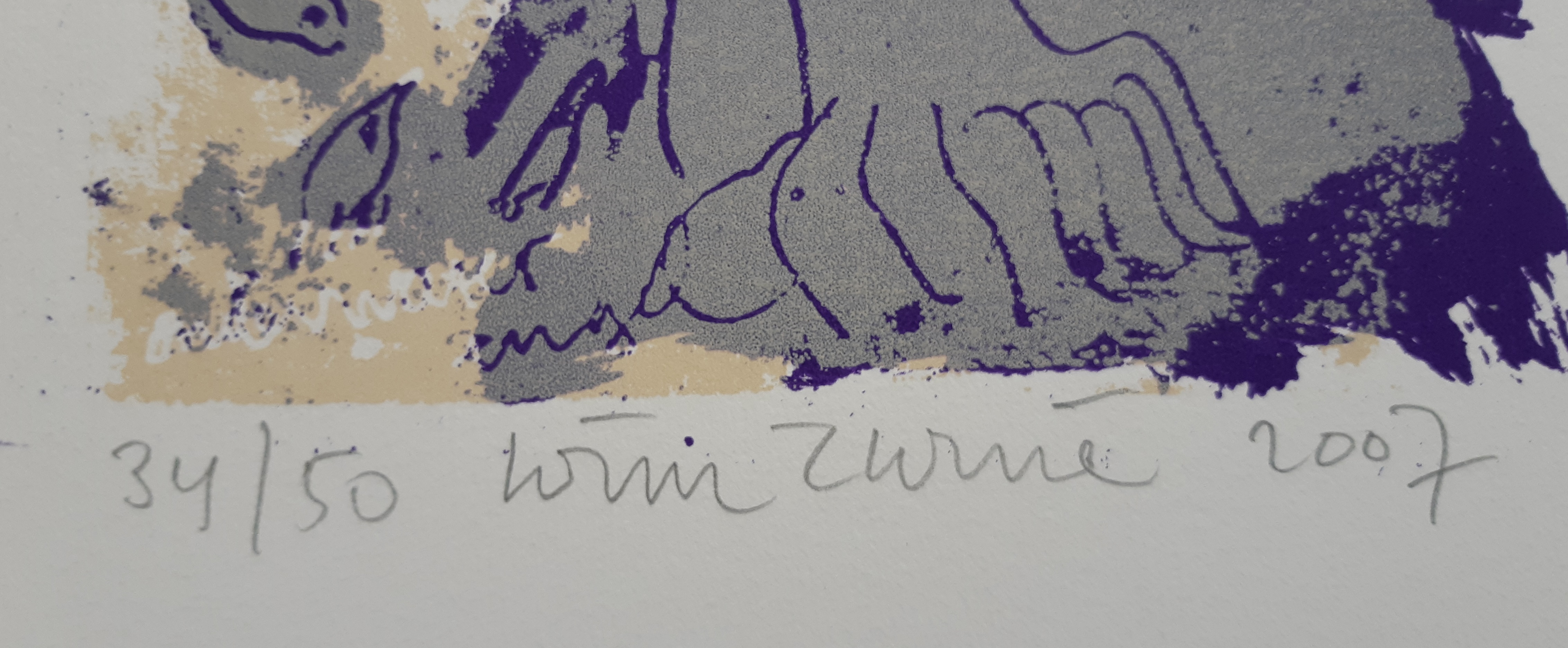 Wim Zurne - Zorg  kopen? Bied vanaf 25!