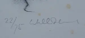 Dirkje Kuik - Litho: Pinokkio kopen? Bied vanaf 59!