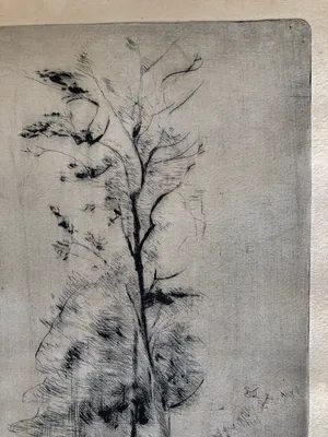 Reino Partanen - twee bomen in kaal landschap kopen? Bied vanaf 15!