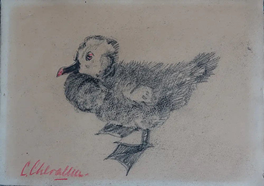 Co Chevallier (1880-1951)