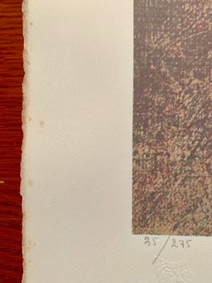 Leonor Fini - La fille Médiévale kopen? Bied vanaf 30!