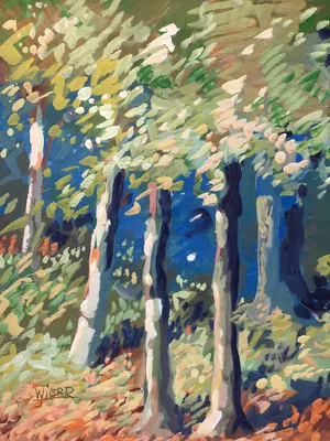 Joub Wiertz - lente in het bos (te Overijssel?) kopen? Bied vanaf 125!