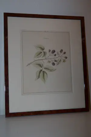 Johann Hermann Knoop - Brambosen (Bramen) kopen? Bied vanaf 40!