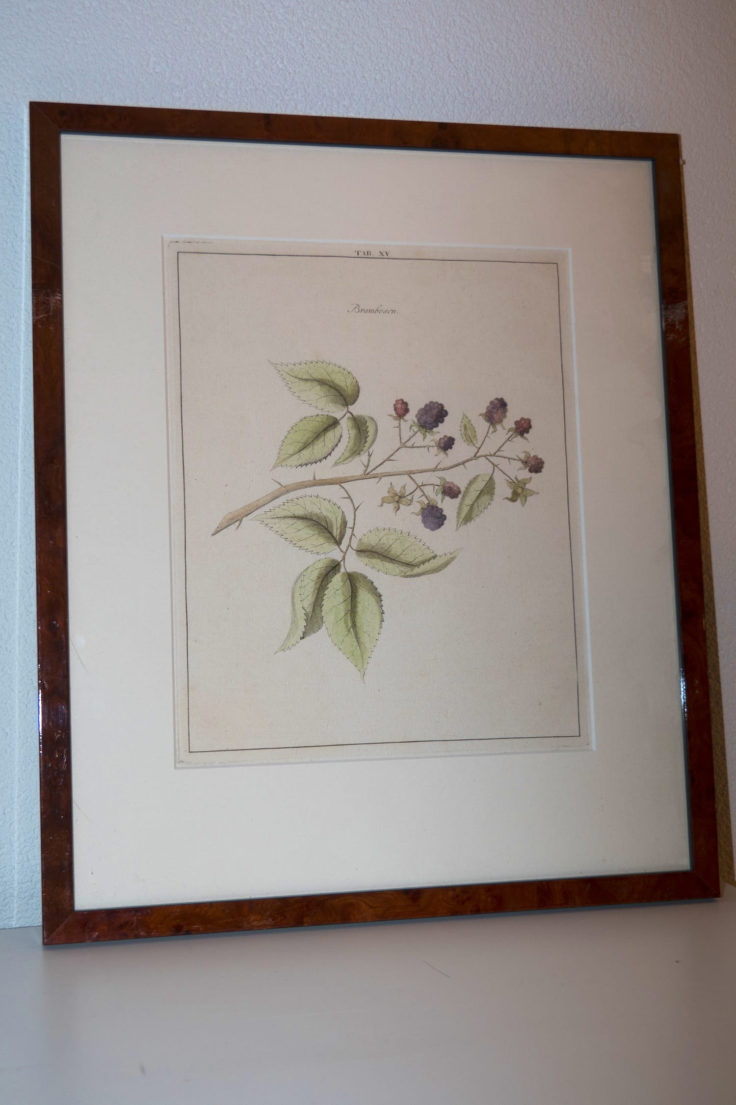 Johann Hermann Knoop - Brambosen (Bramen) verkocht voor € 40!