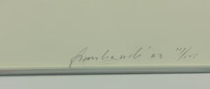 Frank Gude - Zeefdruk, F1 - Ingelijst kopen? Bied vanaf 1!