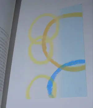 Pieter Bijwaard - Boek, 2x gesigneerd, genumm.336/500-met gouache, foto, 5 drukwerken en 2x CD kopen? Bied vanaf 25!