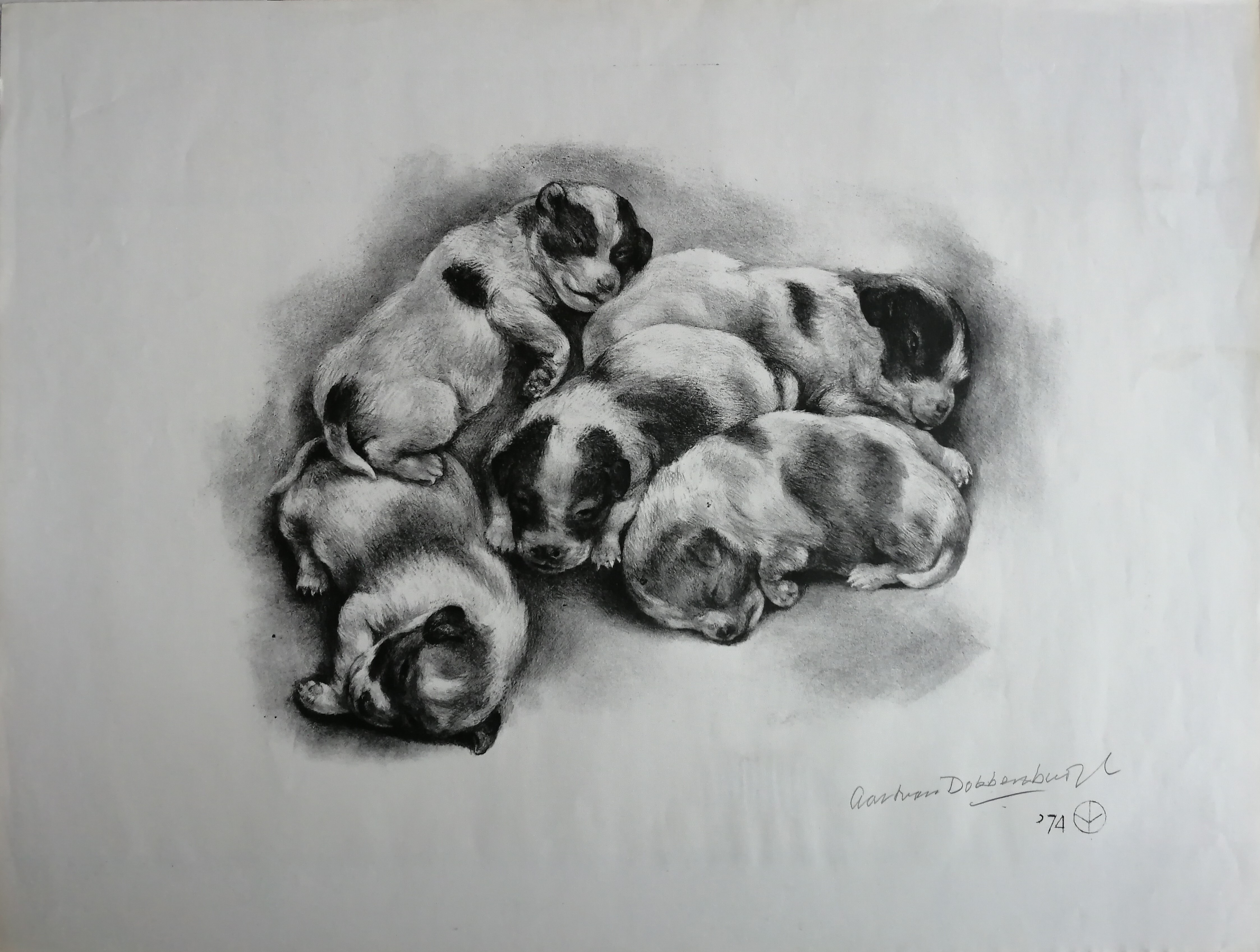 Aart van Dobbenburgh - Vijf hondenpuppies kopen? Bied vanaf 20!