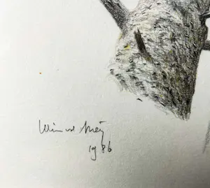 Wim van der Meij - Boom en lantaarnpaal kopen? Bied vanaf 75!