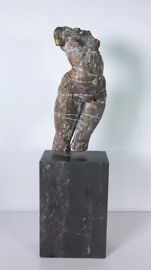 Gerard Engels - Brons, Vrouwentorso op hardstenen voet + 3 boeken! vendu pour 580€ !