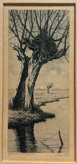 Dirk Harting - Knotwilg kopen? Bied vanaf 25!