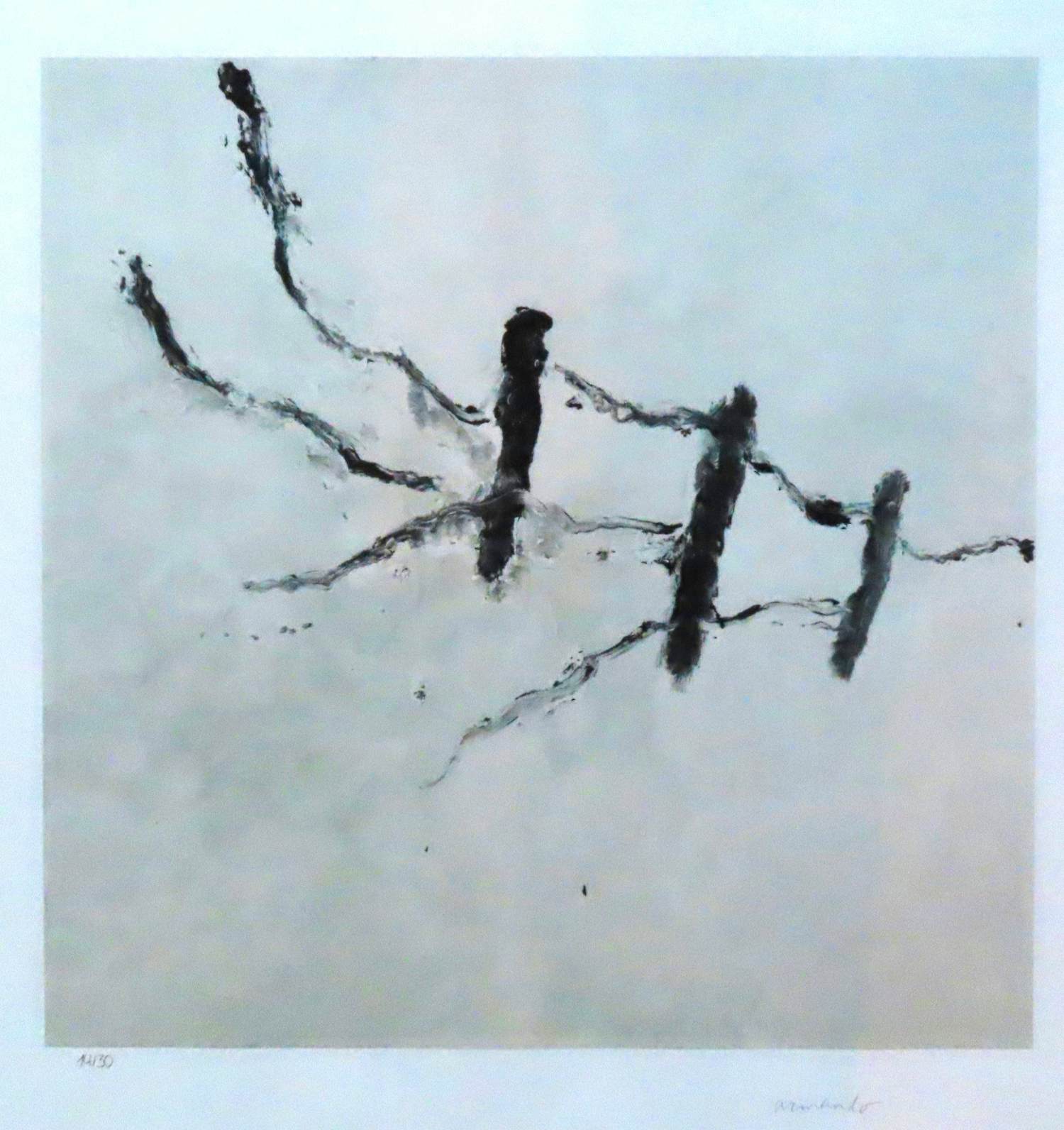 Armando - Der Zaun verkocht voor € 50!