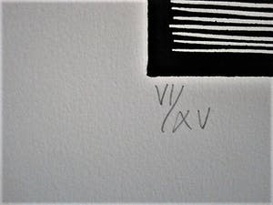 Pieter Becks - Signature - Gelderse Grafiekmap - Houtsnede - Kleurrijke Golven - oplage 15 ex. kopen? Bied vanaf 30!