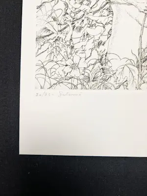 Ronald Ergo - Salomé kopen? Bied vanaf 39!