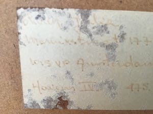 Olivier Julia - Havens IV kopen? Bied vanaf 38!