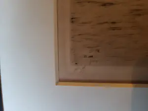 Willem Witsen - Ets,Riviergezicht - no 37, 1900 - gesigneerd kopen? Bied vanaf 269!