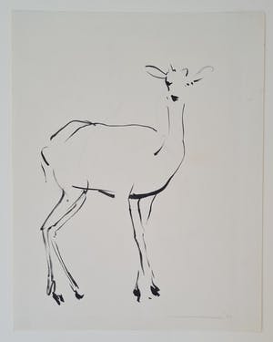 Nico Molenkamp - Hert - handgesigneerde inkttekening kopen? Bied vanaf 150!