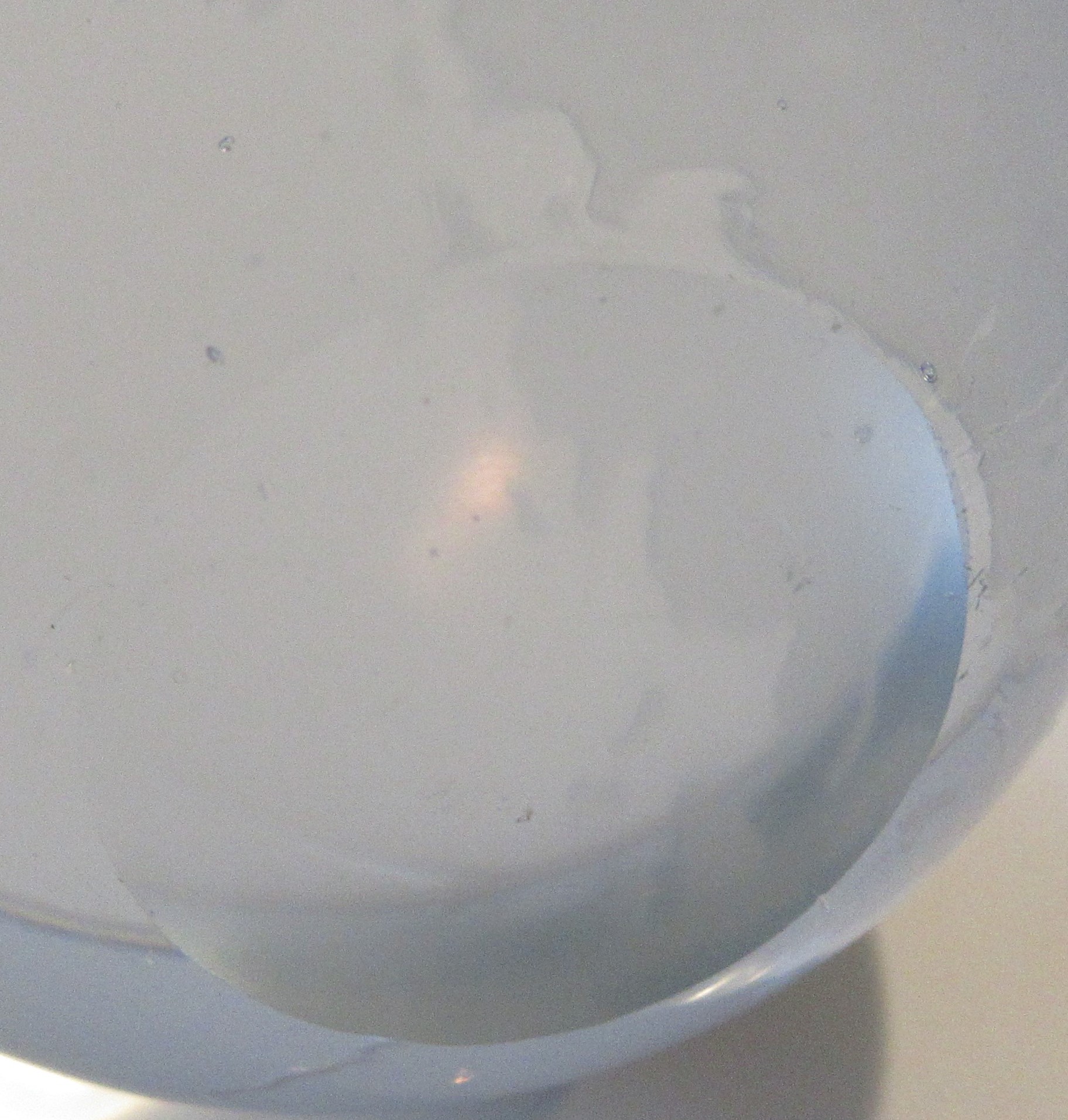 Niet of onleesbaar gesigneerd - Blank glazen presse papier Globe of wereldbol kopen? Bied vanaf 1!