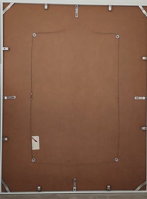 Anton Vrede - Papegaaien met gezicht kopen? Bied vanaf 50!