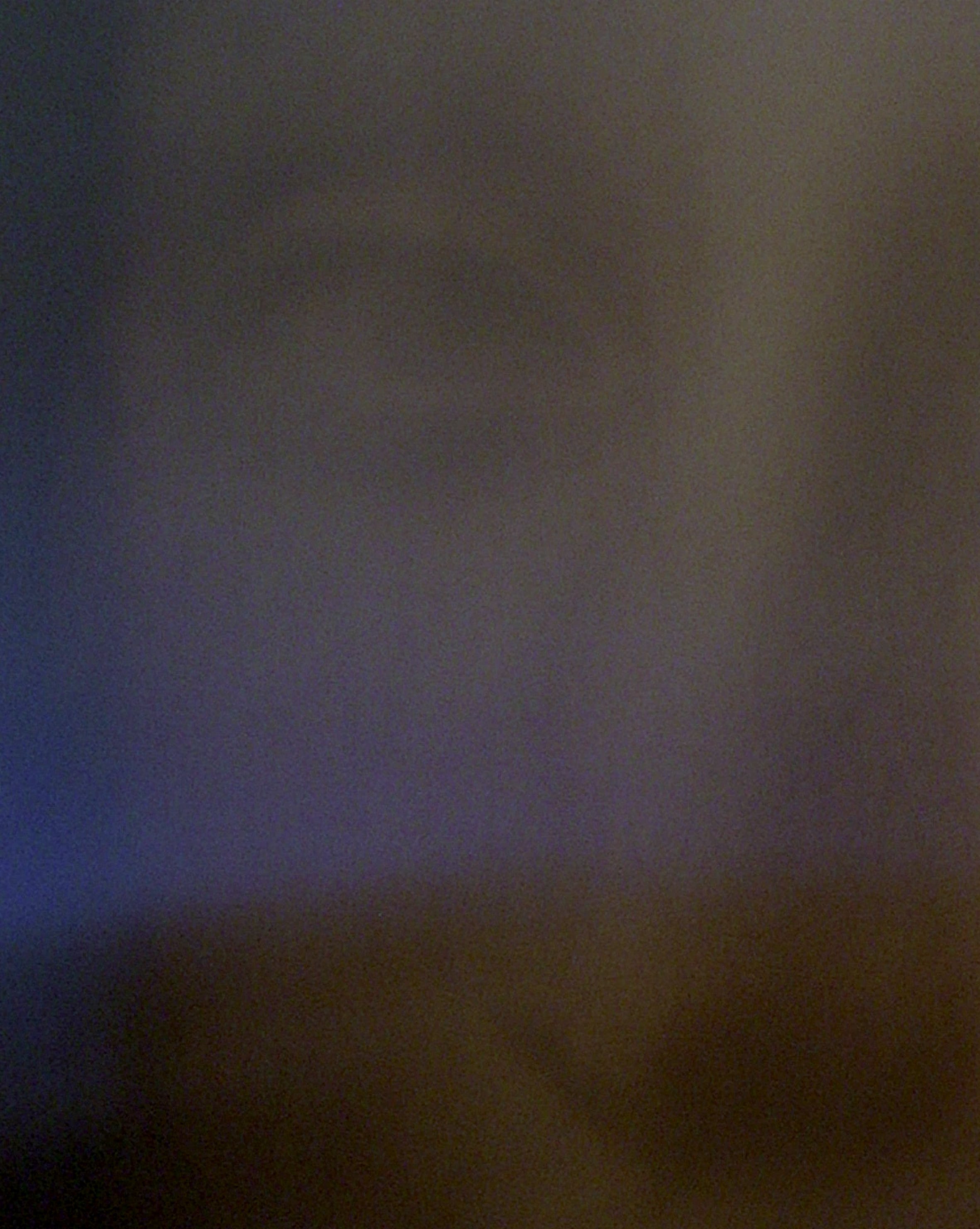 Evert Bongers - Mona Lisa 1 kopen? Bied vanaf 350!