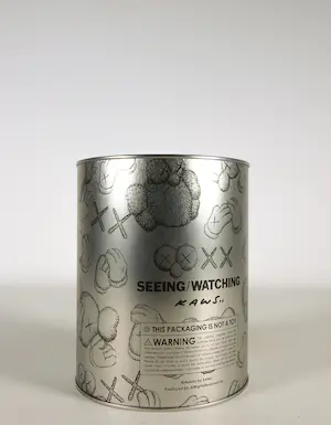 KAWS - Ingeblikt t-shirt, Seeing/Watching kopen? Bied vanaf 1!