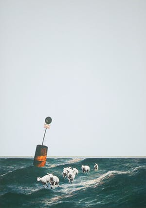 Hans Frisch - Zeefdruk, Z.T. Schapen op zee kopen? Bied vanaf 50!