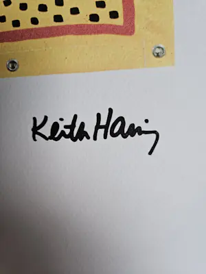 Keith Haring - Zwemmen kopen? Bied vanaf 100!