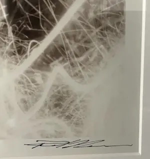 Paul Blanca - Doorman & Wife kopen? Bied vanaf 250!