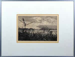 Reinder Homan - Ets, Riet aan de meeroever verkocht voor € 70!