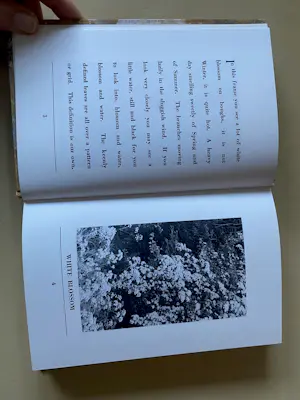 Gilbert & George - Side by Side, Gilbert & George, The Sculptors, Art for ALL kopen? Bied vanaf 140!