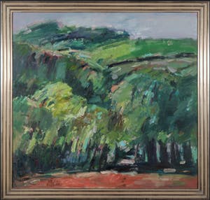 Toon de Haas - Olieverf op doek, Landschap - Ingelijst (Groot) kopen? Bied vanaf 150!